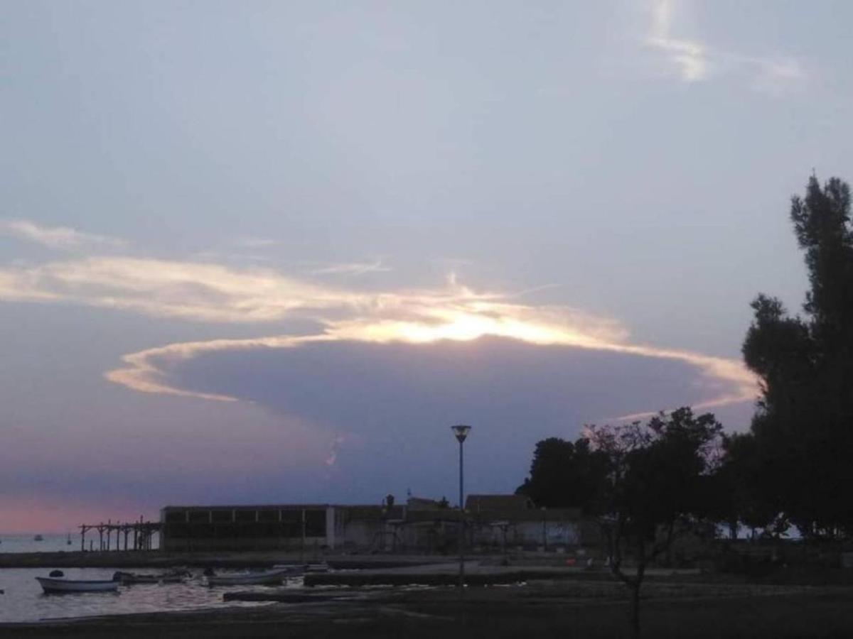App Enterprise Umag Apartment Exterior photo